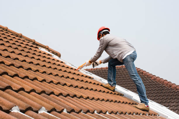 Best Roof Ventilation Installation  in Willard, OH